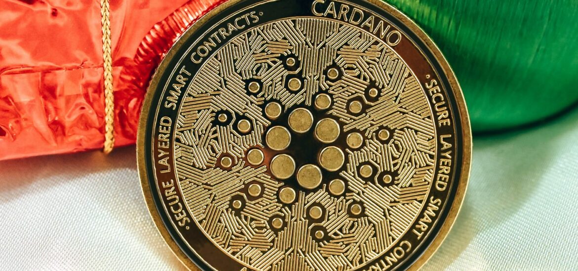 cardano coin