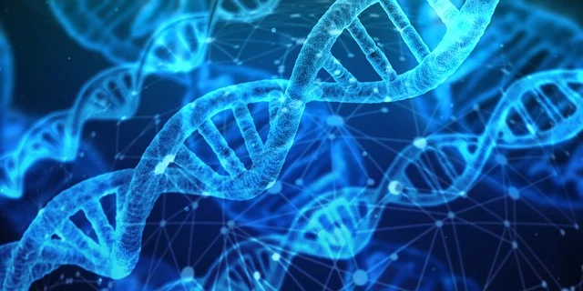 AI medical DNA